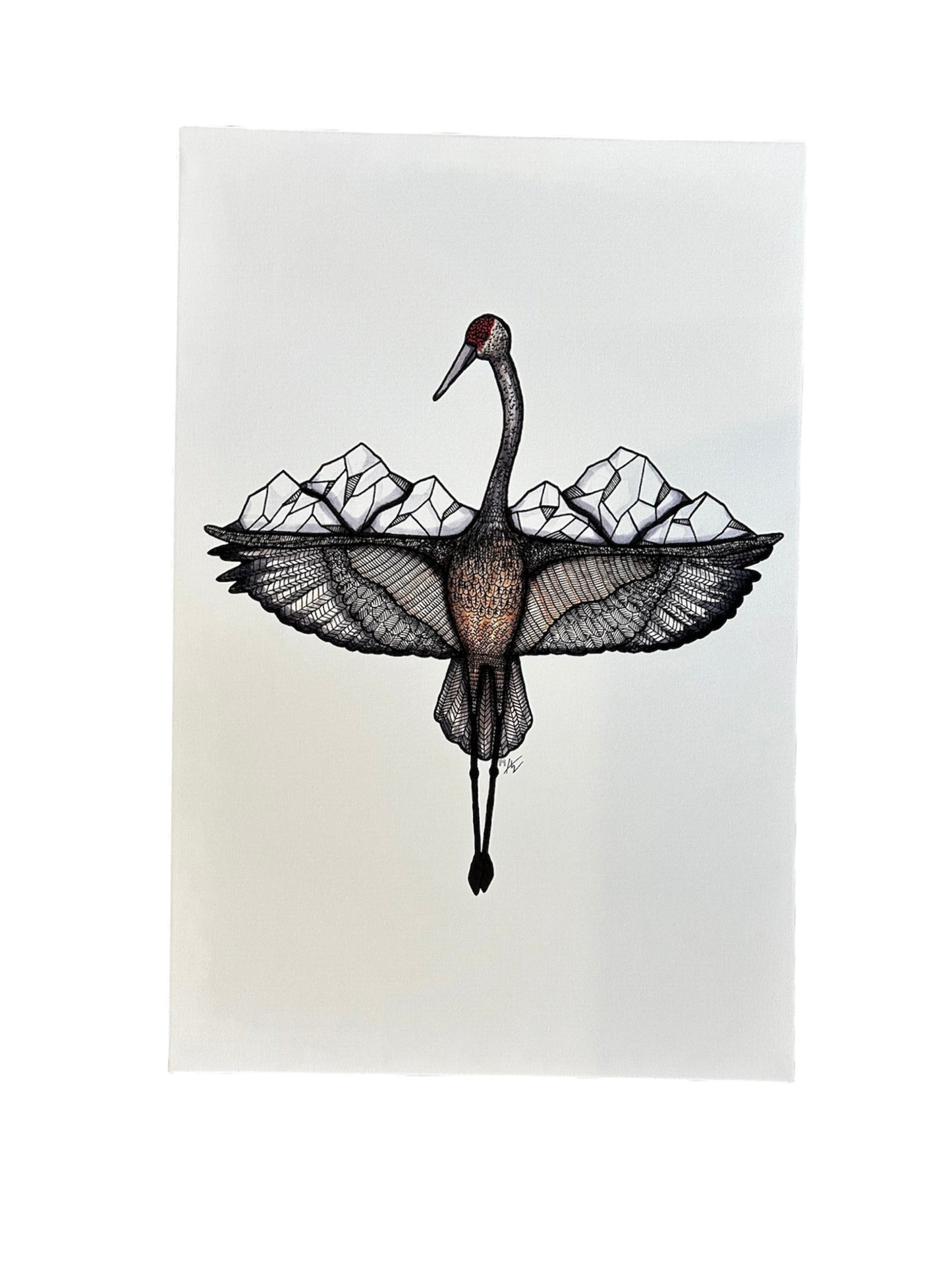 Flight of the Sandhill Crane Canvas Print