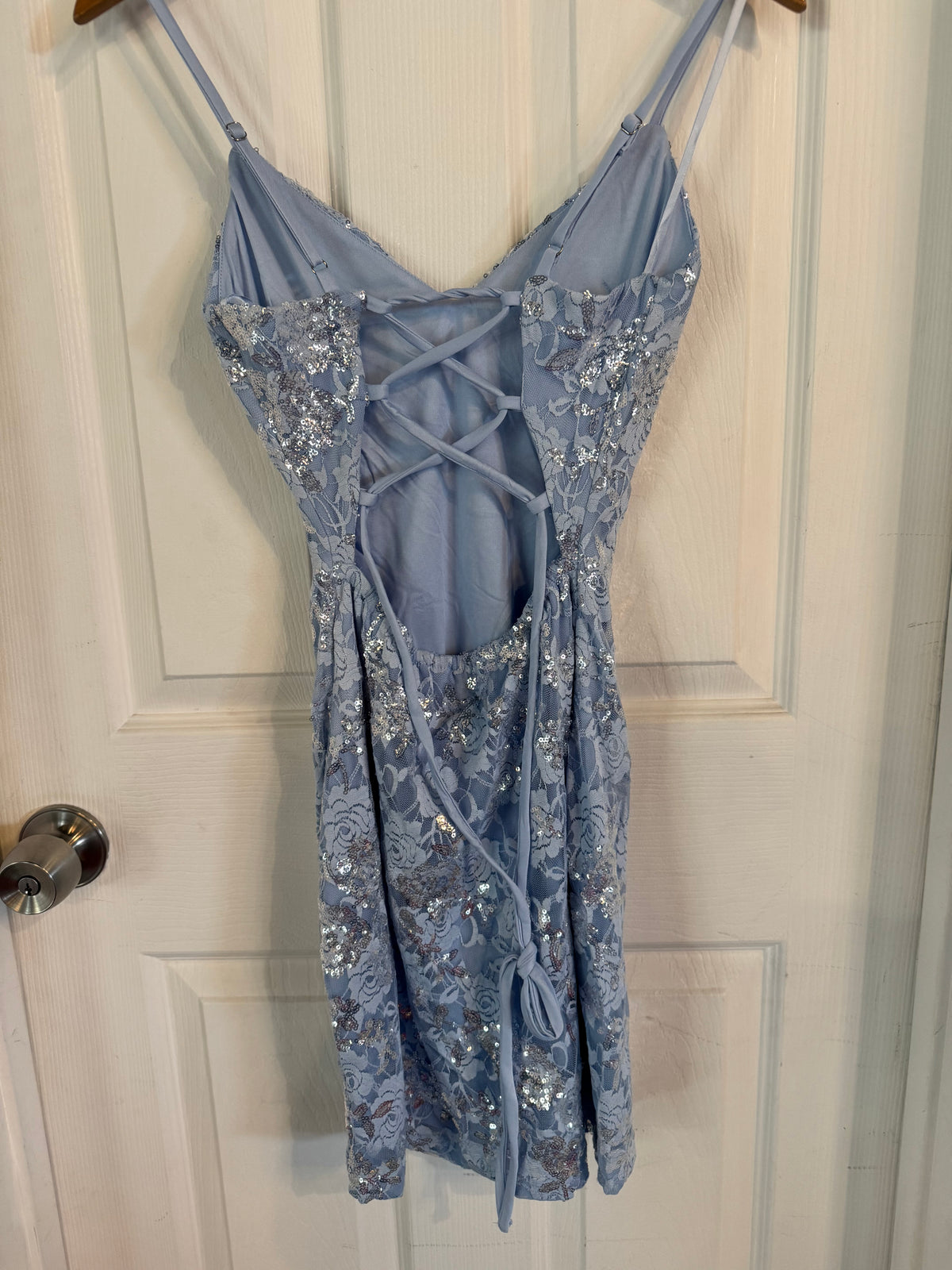 Baby Blue Lace Flower Mini