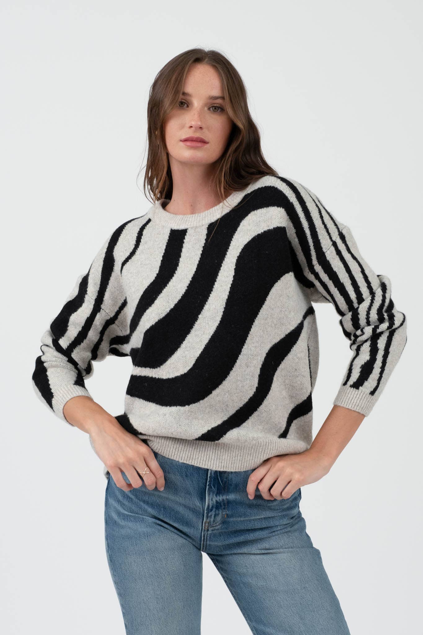 Zebra Pullover Sweater