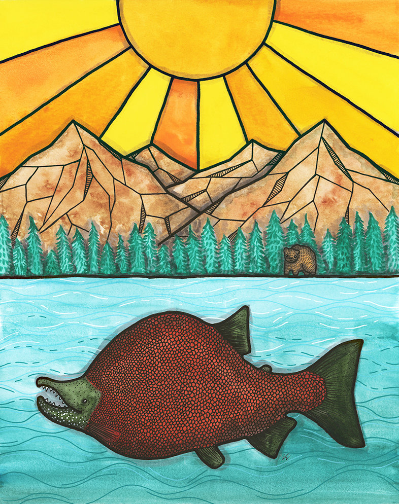 Salmon Sunset Canvas Print