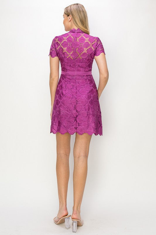 The Blaze Lace Mini Dress