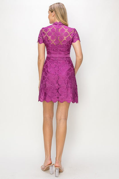 The Blaze Lace Mini Dress