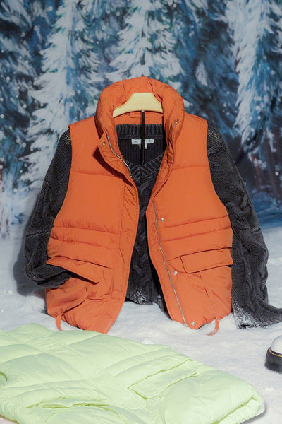 Camel Placket Puffer Vest