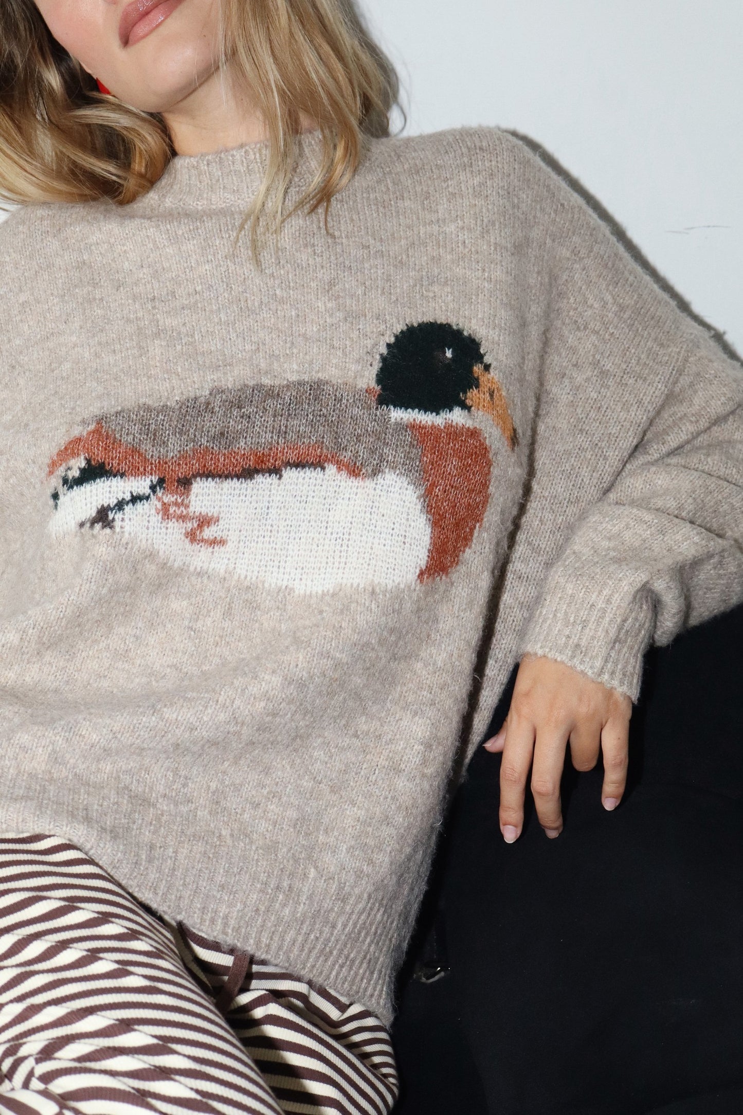 Duck Graphic Knit Sweater