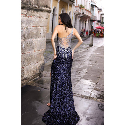 Sequin Sheer One Shoulder Dress