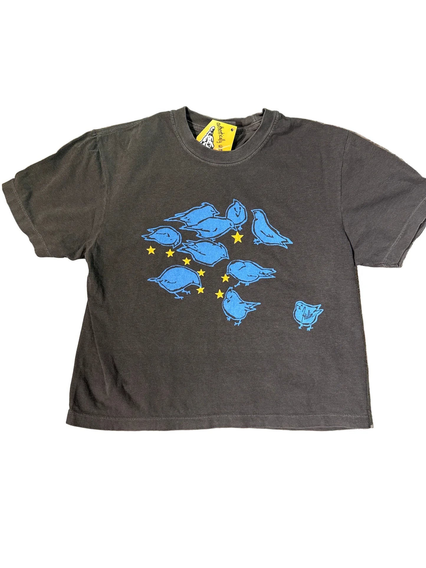 Bluebird & Stars Crop