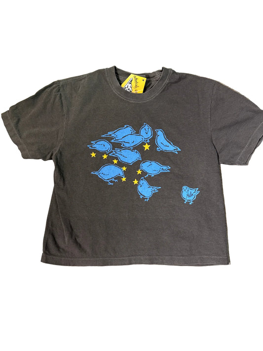 Bluebird & Stars Crop