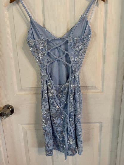 Baby Blue Lace Flower Mini