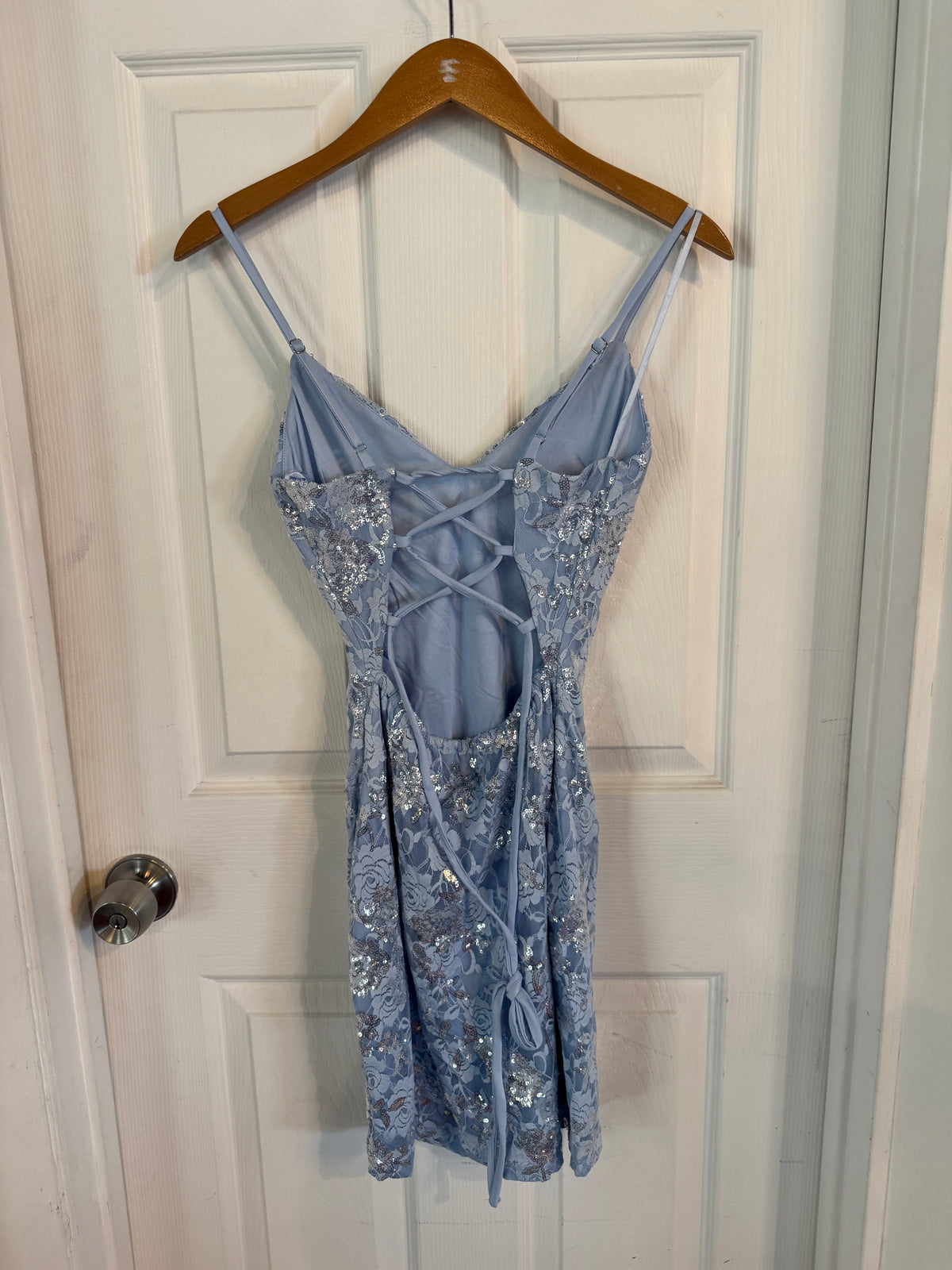 Baby Blue Lace Flower Mini