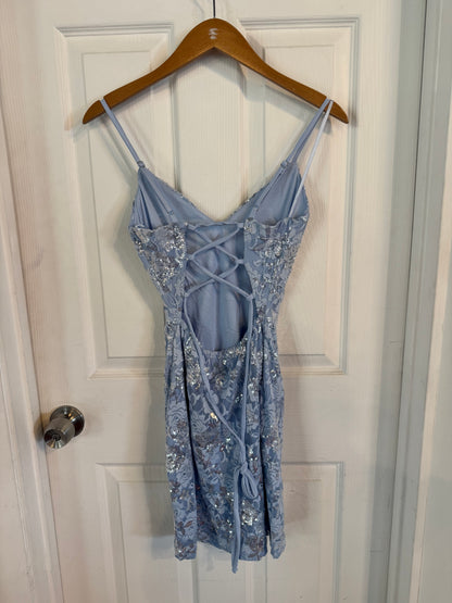 Baby Blue Lace Flower Mini