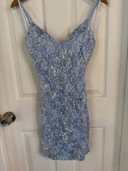 Baby Blue Lace Flower Mini
