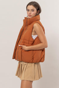 Camel Placket Puffer Vest