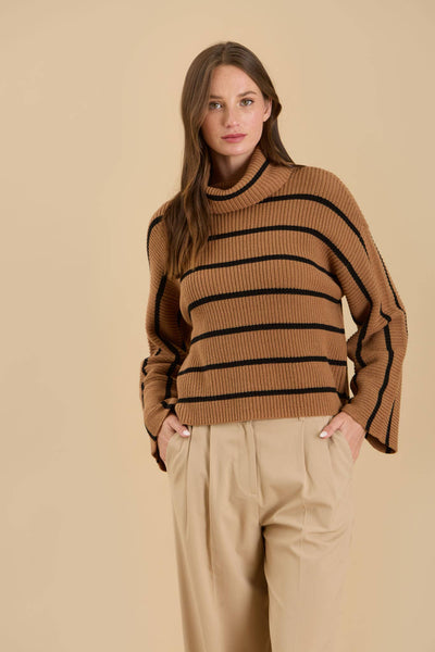 Stripe Crop Turtleneck