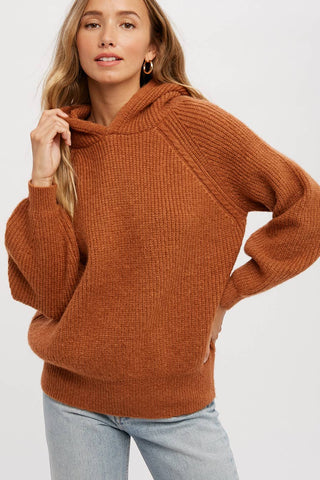 Cozy Sweater Hoodie