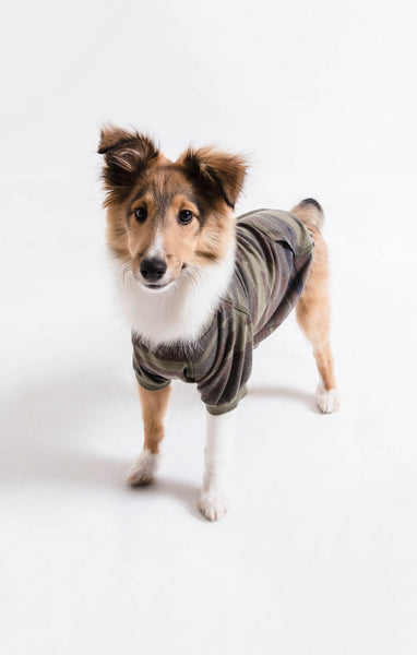 Camo T for the Pup - Zoo Supply