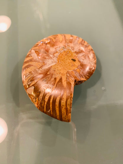 Pop Sockets-ACCESORIES-21-Bottoms Up Boutique-Anchorage AK